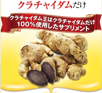 �N���`���C�_����,�����T�C�g