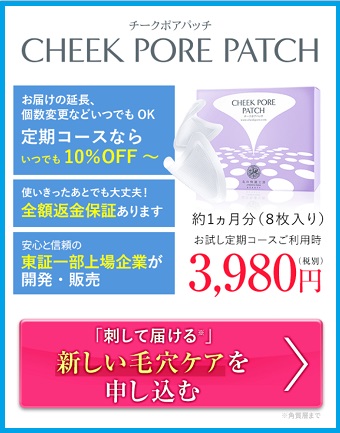 �`�[�N�|�A�p�b�`,�����T�C�g